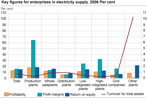 Key figures for enterprises in electricity supply. 2006