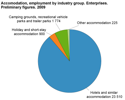 Accomodation, employment by industry group. Enterprises. Preliminary figures 2009