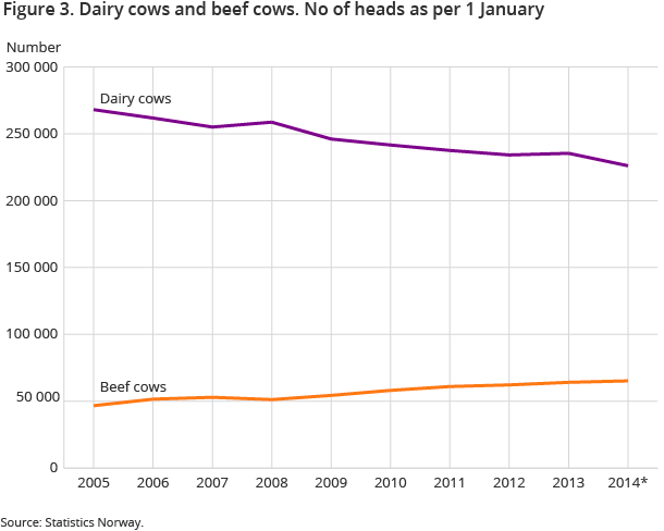 Dairy cows and beef cows. No of heads as per 1 January