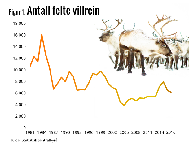 Figur 1. Antall felte villrein