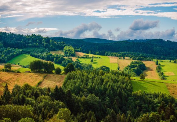 Skogslandskap og åkre.
