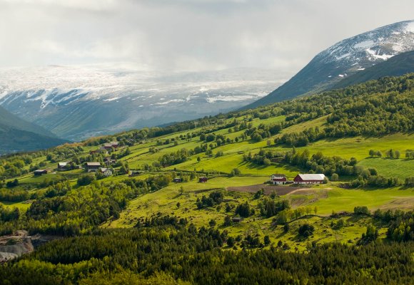 Jordbruksareal i dalen.
