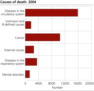 Causes of death. 2004 