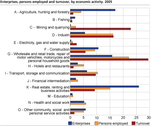 Enterprises, persons employed and turnover by economic activity. 2005
