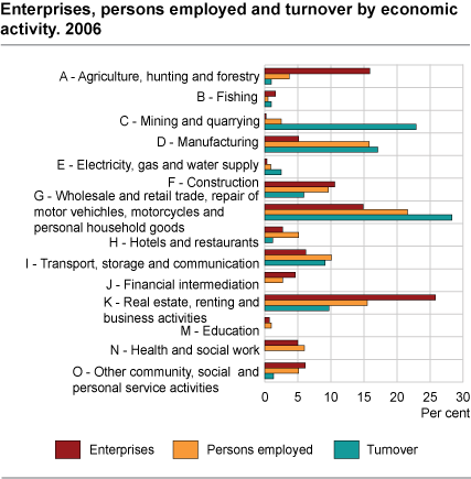 Enterprises, persons employed and turnover by economic activity. 2006