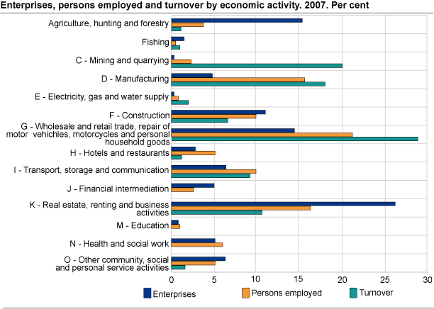 Enterprises, persons employed and turnover by economic activity. 2007