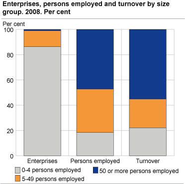 Enterprises, number of persons employed and turnover by size. 2008.