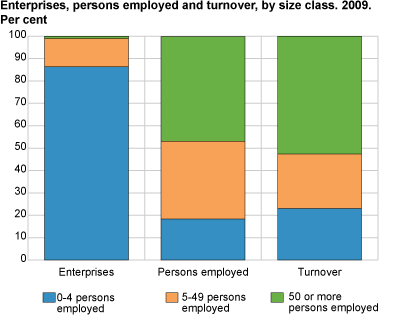 Enterprises, persons employed and turnover by size class. 2009