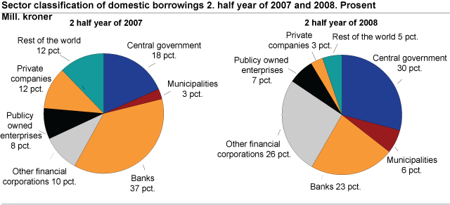 Sector classification of domestic borrowings