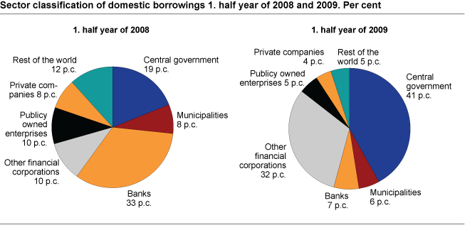 Sector classification of domestic borrowings