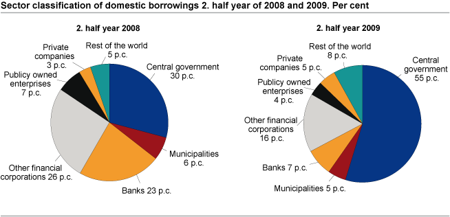 Sector classification of domestic borrowings