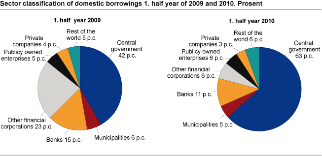 Sector classification of domestic borrowings