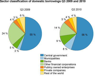 Sector classification of domestic borrowings