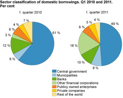 Sector classification of domestic borrowings