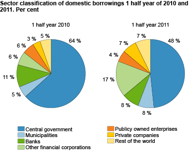 Sector classification of domestic borrowings