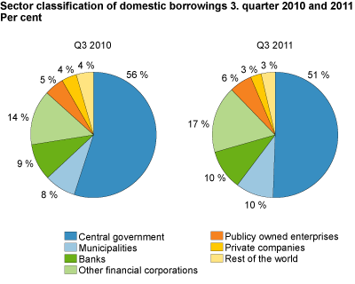 Sector classification of domestic borrowings