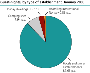 Guest nights, by type of establishment. January 2003