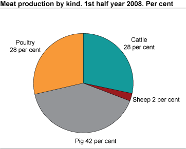 Meat production by kind. 1st  half year 2008. Per cent