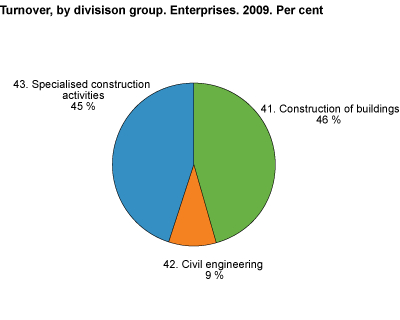 Turnover by division group. Enterprises. 2009. Per cent 
