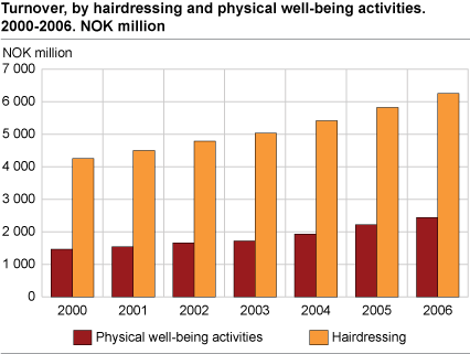 Turnover in hairdressing and physical well-being activities, 2000-2006