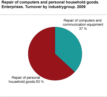 Repair of computers and personal household goods. Enterprises. Turnover by industry group.2009.
