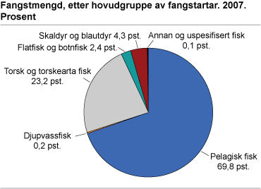 Fangstmengd, etter hovudgruppe av fangstartar.  2007. Prosent