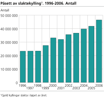 Påsett av slaktekylling