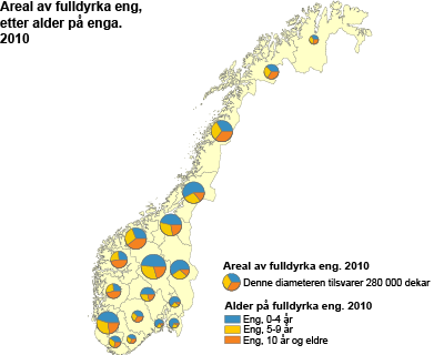 Areal av fulldyrka eng,etter alder på enga.2010