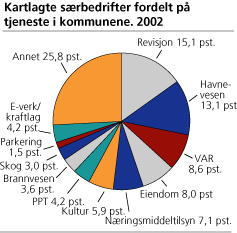 Kartlagte særbedrifter fordelt på tjeneste i kommunene. 2002