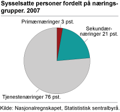 Sysselsatte personer fordelt på næringsgrupper. 2007