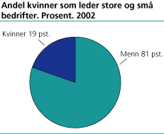 Andel kvinner som leder store og små bedrifter. Prosent, 2002.