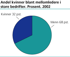 Andel kvinner blant mellomledere i store bedrifter. Prosent, 2002.