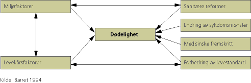 Figur 2. En enkel modell for faktorer som påvirker dødeligheten 