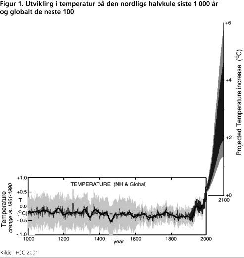 Utvikling i temperatur på den nordlige halvkule siste 1 000 år og globalt de neste 100