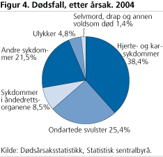 Dødsfall, etter årsak. 2004