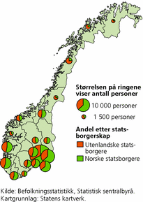 Figur 9. Personer med flyktning-bakgrunn, etter statsborgerskap og fylke. 1. januar 2009.