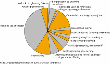 Figur 1. Sysselsatte kvinner, etter næring. 2009