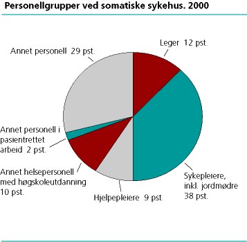  Personellgrupper ved somatiske sykehus, 2000