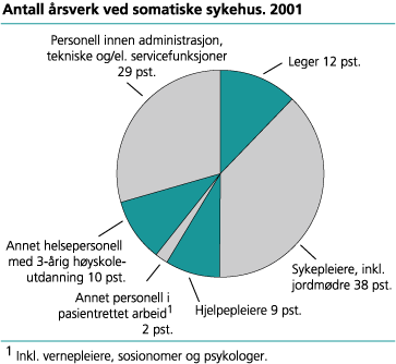 Antall årsverk ved somatiske sykehus. 2001