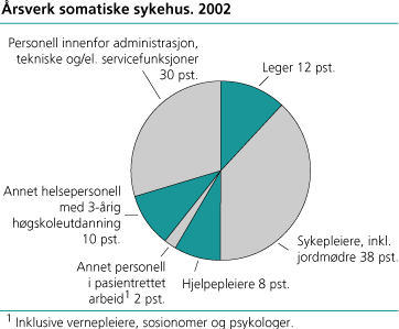 Årsverk somatiske sykehus. 2002