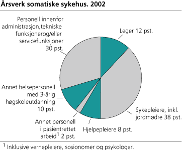 Årsverk somatiske sykehus. 2002