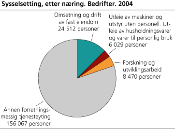 Sysselsetting, etter næring. Bedrifter. 2004