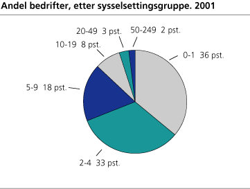 Andel bedrifter etter sysselsettingsgruppe. 2001