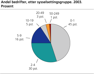 Andel bedrifter, etter sysselsettingsgruppe. 2003. Prosent