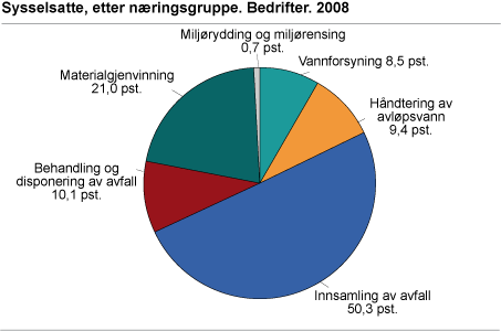 Sysselsetting, etter næringsgruppe. Bedrifter. 2008