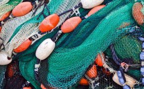 Illustrasjon med fiskegarn