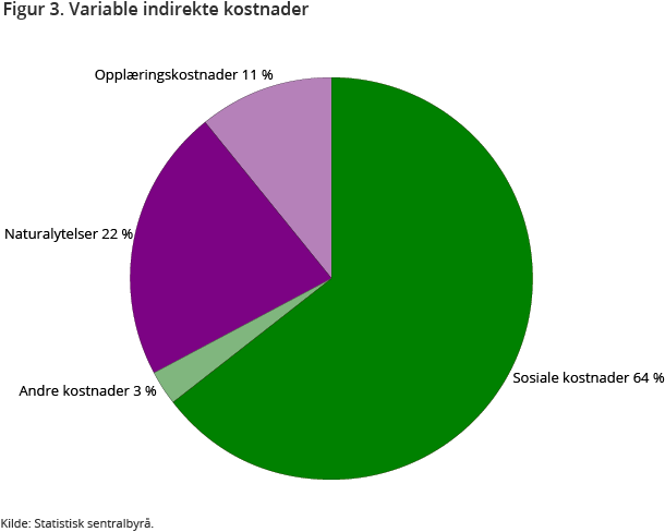 Figur 3. Variable indirekte kostnader