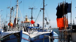 Fiskebåter liggende i havn