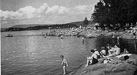 Bilde: Katten på Nordstrand