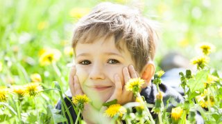 En smilende gutt ligger i en blomstereng med løvetann